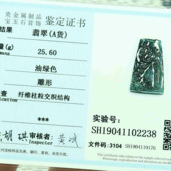 Cert'd Blue water 蓝水 Natural A Jade jadeite Carved Pendant Dragon - Picture 6 of 8